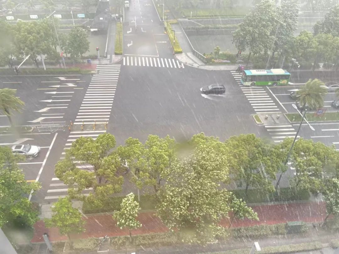 宁波将有明显降水过程，东部新城刚才狂风暴雨！今年首个台风已经生成！