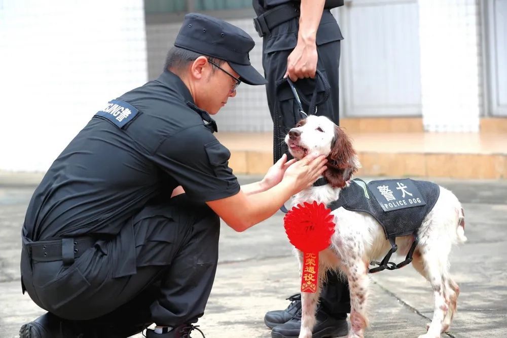 警犬“飞机”入职日记！