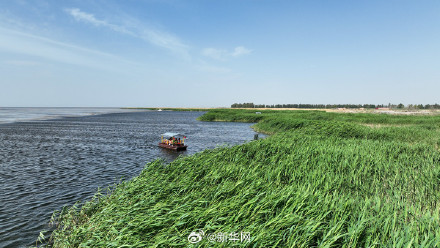 一起欣赏！夏日乌梁素海风景如画