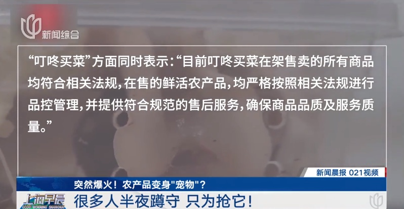 突然爆火!很多上海人半夜蹲守抢购,也有人担心:生鲜平台能卖这个? 突然爆火!很多上海人半夜蹲守抢购,也有人担心:生鲜平台能卖这个?