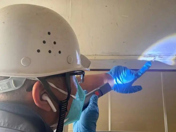 上海人最担心的来了!有人夜不能寐,身上、头上到处都是…… 上海人最担心的来了!有人夜不能寐,身上、头上到处都是……