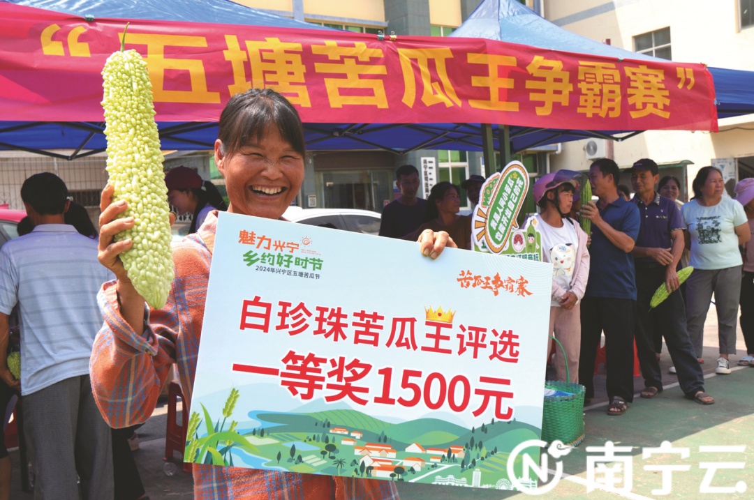 这里,“苦瓜王”出炉! 这里,“苦瓜王”出炉!