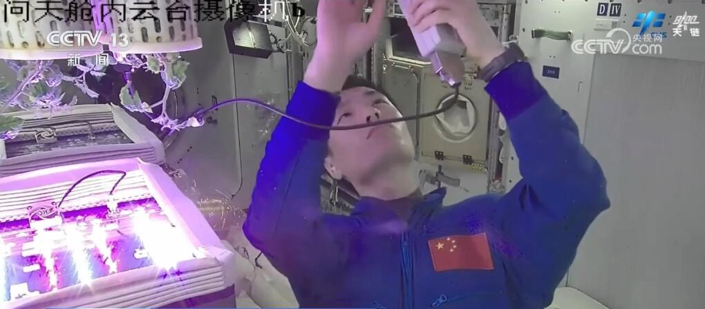 科研、养鱼、运动、种菜…… 在轨“满月”,看神十八乘组都在忙什么? 科研、养鱼、运动、种菜…… 在轨“满月”,看神十八乘组都在忙什么?