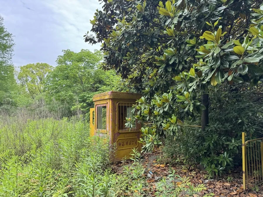 有2个迪士尼大!上海这座乐园废墟成网红打卡点 有2个迪士尼大!上海这座乐园废墟成网红打卡点