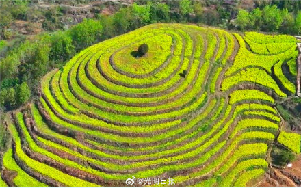 三秦大地上的中国重要农业文化遗产