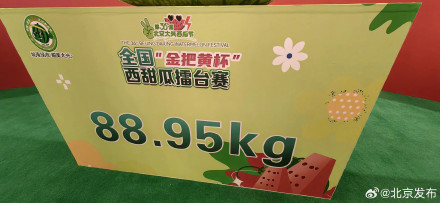 177.9斤!“瓜王”诞生 177.9斤!“瓜王”诞生