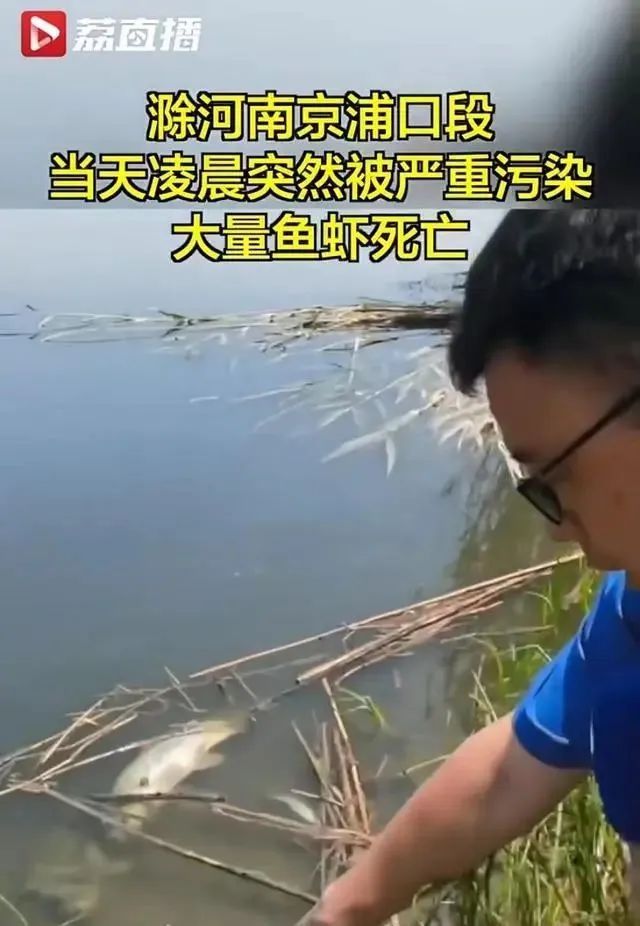 长江支流出现大量死鱼,水质恶臭、发黑!官方:污染源确定… 长江支流出现大量死鱼,水质恶臭、发黑!官方:污染源确定…