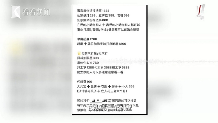 猫咪去世后她花上万元找宠物沟通师 结果扎心了...