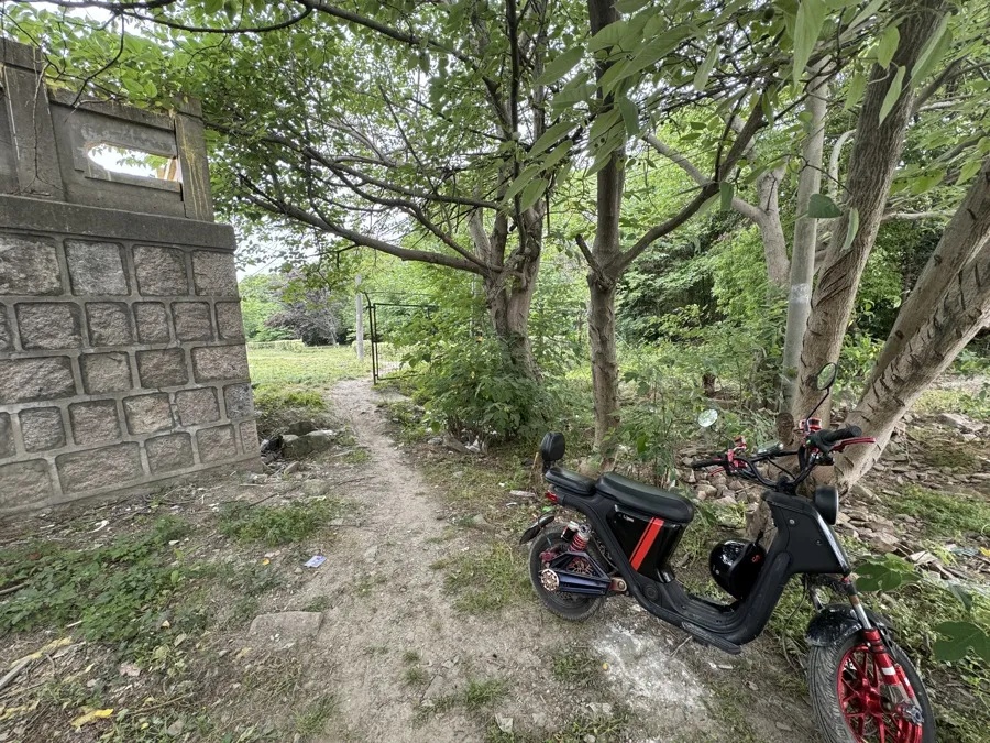 有2个迪士尼大!上海这座乐园废墟成网红打卡点 有2个迪士尼大!上海这座乐园废墟成网红打卡点