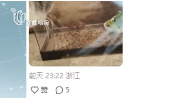 “上海一年级家长都在买”?突然爆火!有人半夜蹲守抢购 “上海一年级家长都在买”?突然爆火!有人半夜蹲守抢购