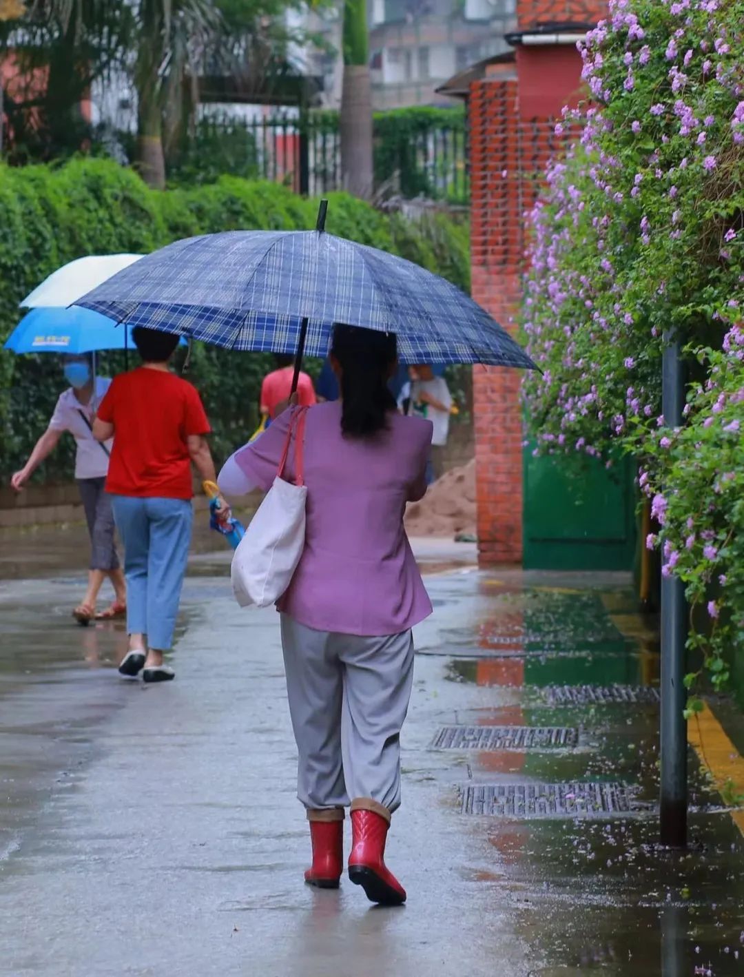 16级!或成超强台风!厦门局部暴雨,接下来…… 16级!或成超强台风!厦门局部暴雨,接下来……