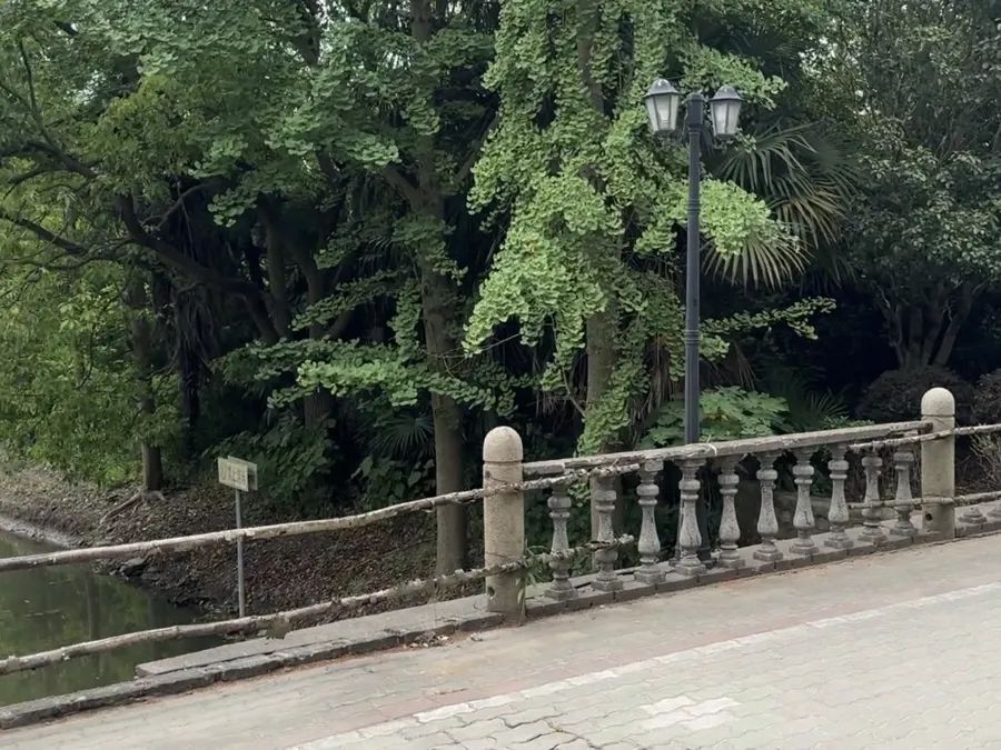 有2个迪士尼大！上海这座乐园荒废了？
