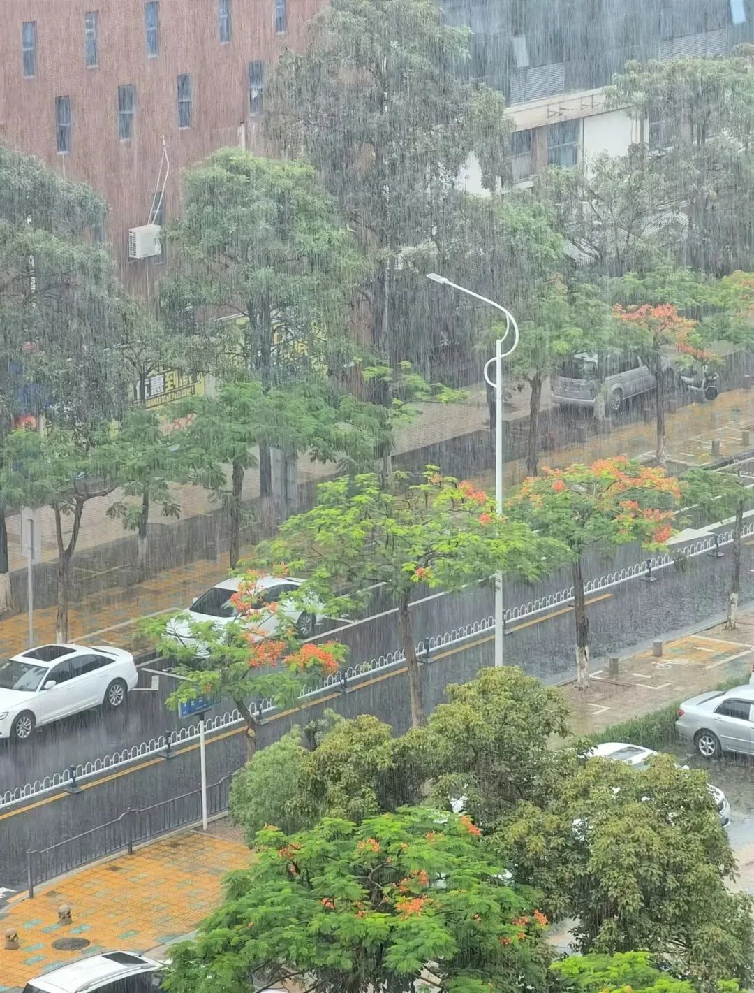 16级!或成超强台风!厦门局部暴雨,接下来…… 16级!或成超强台风!厦门局部暴雨,接下来……