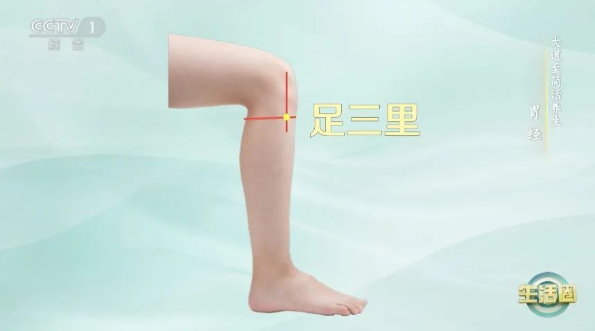 与其打针吃药，不如顺手拍拍你身上的这些“长寿机关”