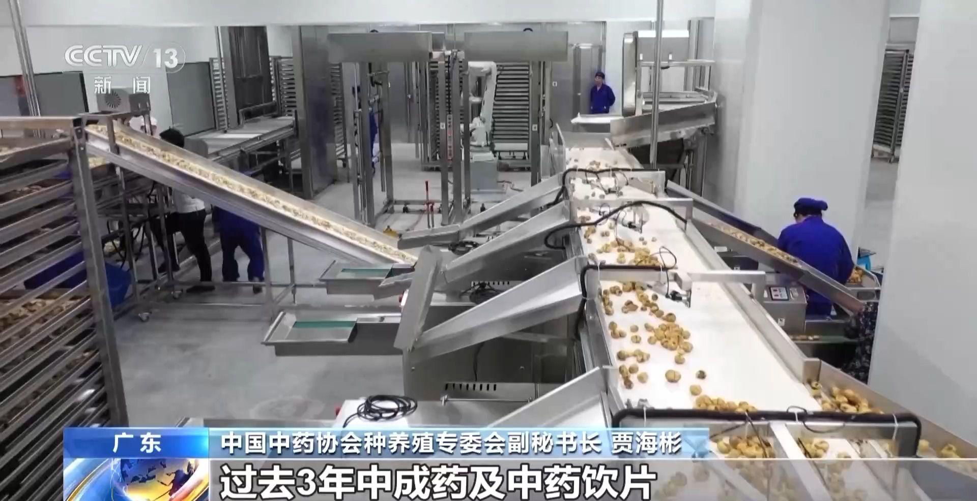 中药材价格为何涨不停？记者探寻背后原因