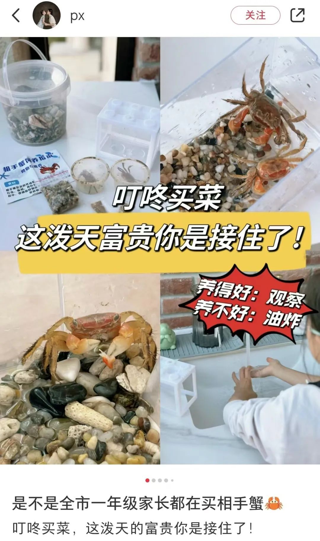 “上海一年级家长都在买”?突然爆火!有人半夜蹲守抢购 “上海一年级家长都在买”?突然爆火!有人半夜蹲守抢购