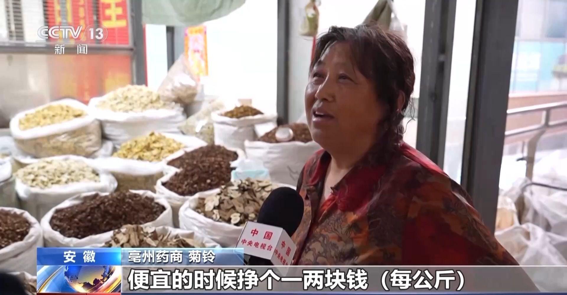 中药材价格为何涨不停？记者探寻背后原因