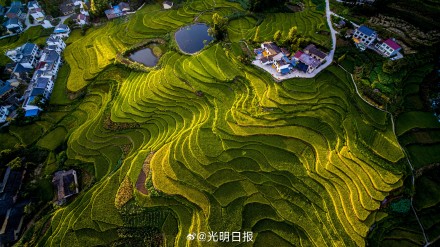 三秦大地上的中国重要农业文化遗产