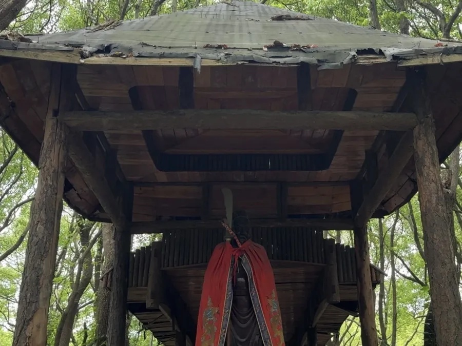 有2个迪士尼大!上海这座乐园废墟成网红打卡点 有2个迪士尼大!上海这座乐园废墟成网红打卡点