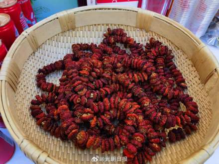 三秦大地上的中国重要农业文化遗产