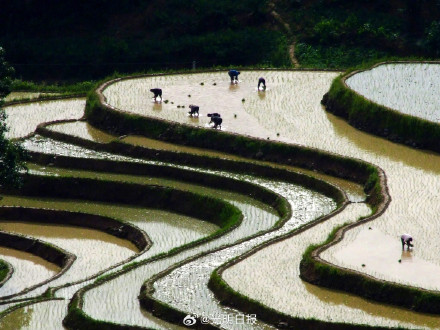 三秦大地上的中国重要农业文化遗产