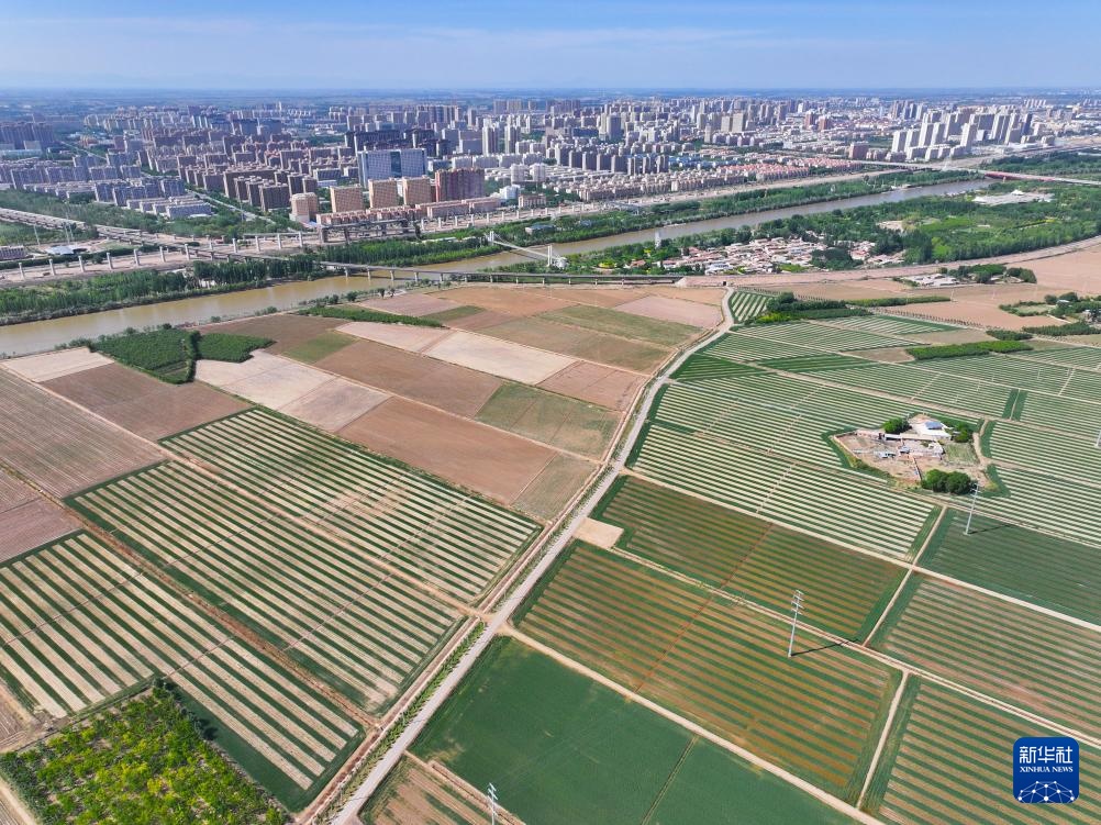 巴彦淖尔:黄河水润万顷田 巴彦淖尔:黄河水润万顷田