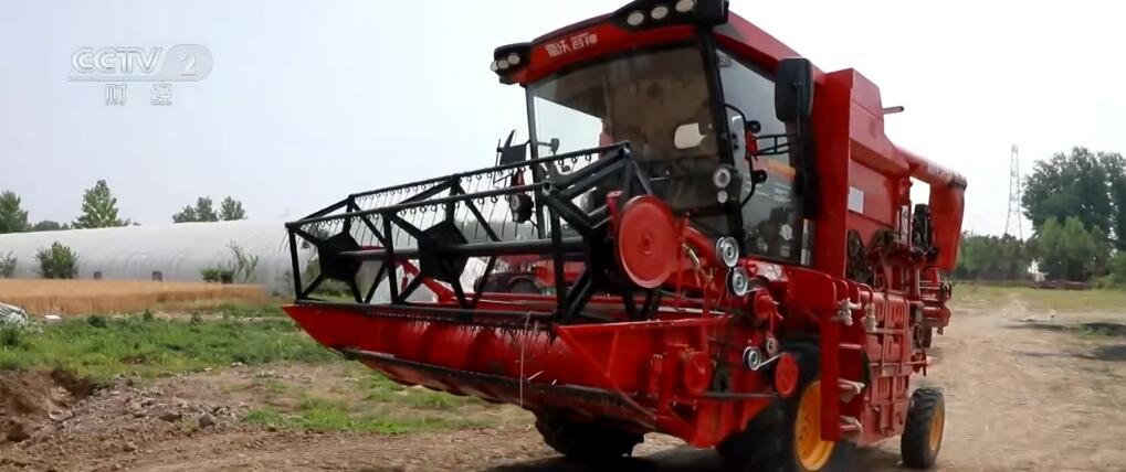 “雨口夺粮”分秒必争 多地麦区展开小麦“抢收战” “雨口夺粮”分秒必争 多地麦区展开小麦“抢收战”