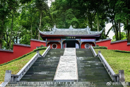 想去!云峰山上1700岁的桢楠王 想去!云峰山上1700岁的桢楠王