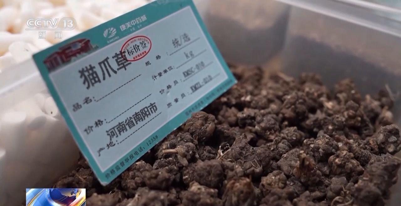 中药材价格为何涨不停？记者探寻背后原因