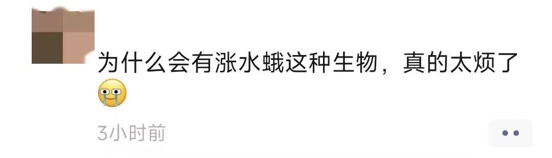 “涨水蛾”刷屏重庆人朋友圈！如何防范？专家支招！