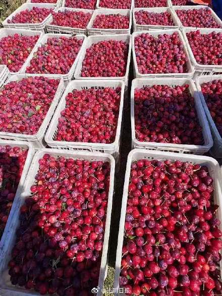 三秦大地上的中国重要农业文化遗产