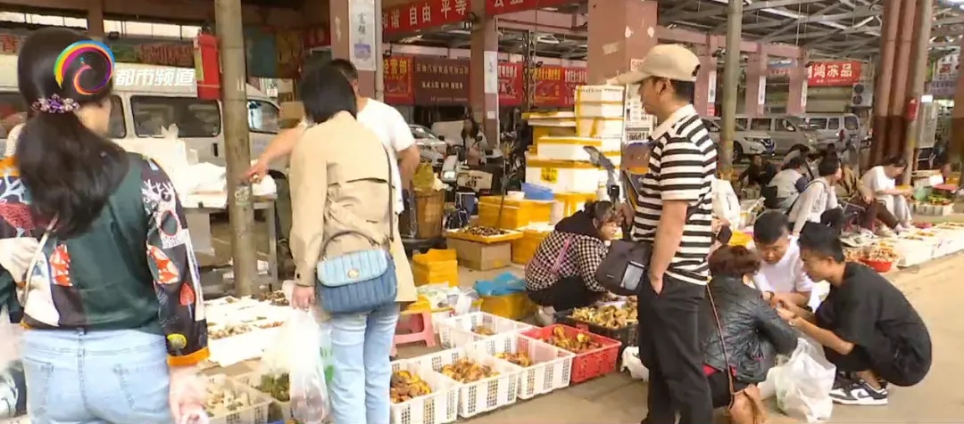 好消息！量升价降！云南人的最爱来了……