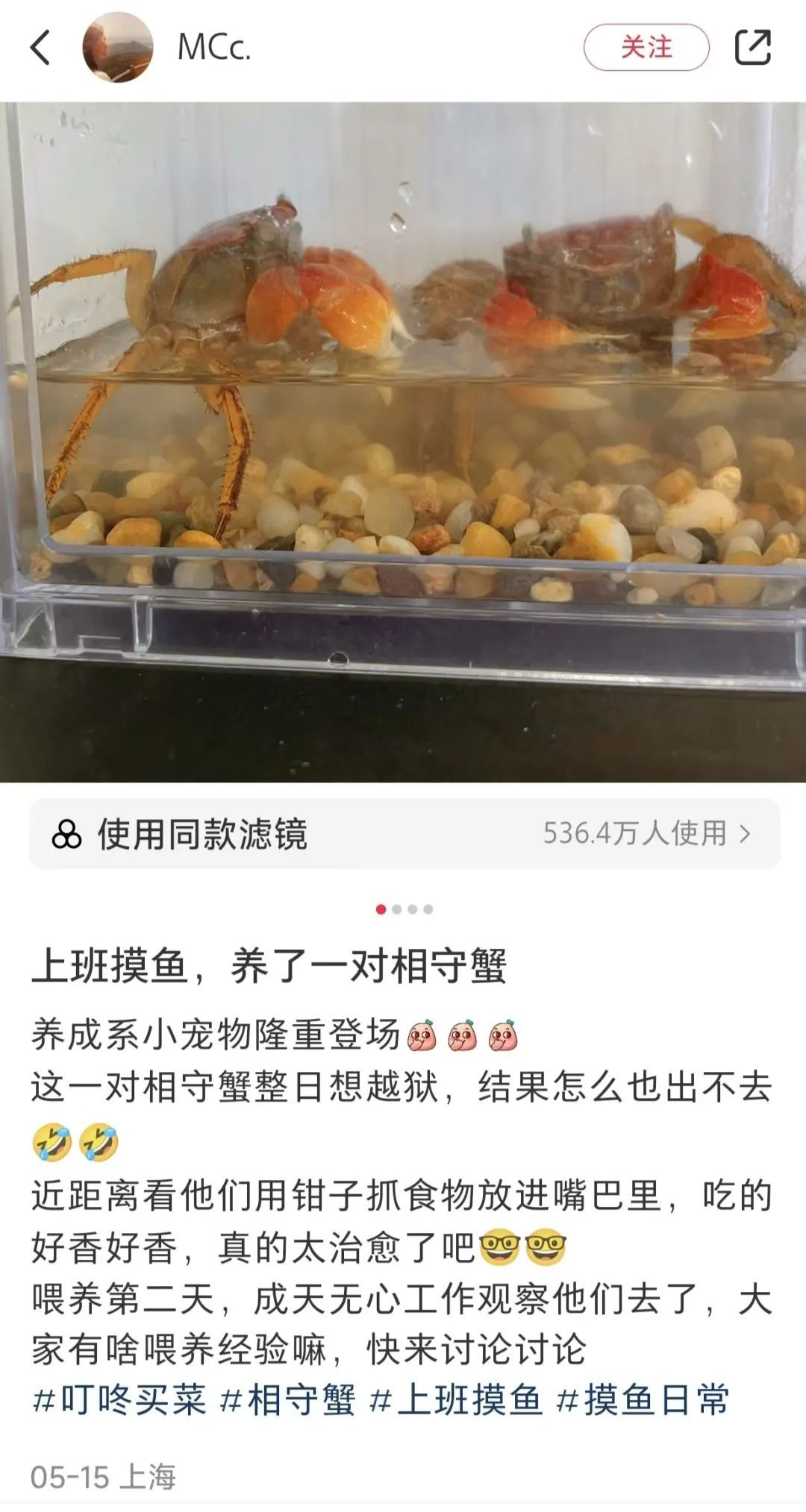 “上海一年级家长都在买”?突然爆火!有人半夜蹲守抢购 “上海一年级家长都在买”?突然爆火!有人半夜蹲守抢购