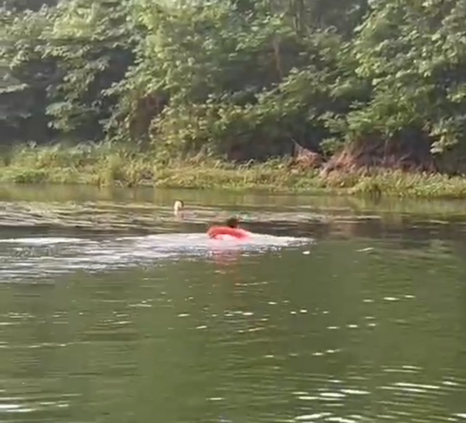 男子清晨从跳桥轻生，娄底辅警狂奔200米跳水营救：这是他第三次救人