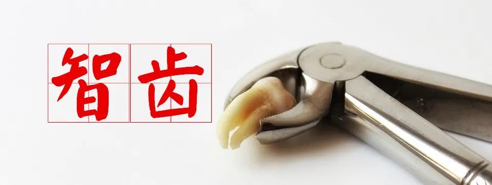 智齿,一定要拔吗? 智齿,一定要拔吗?
