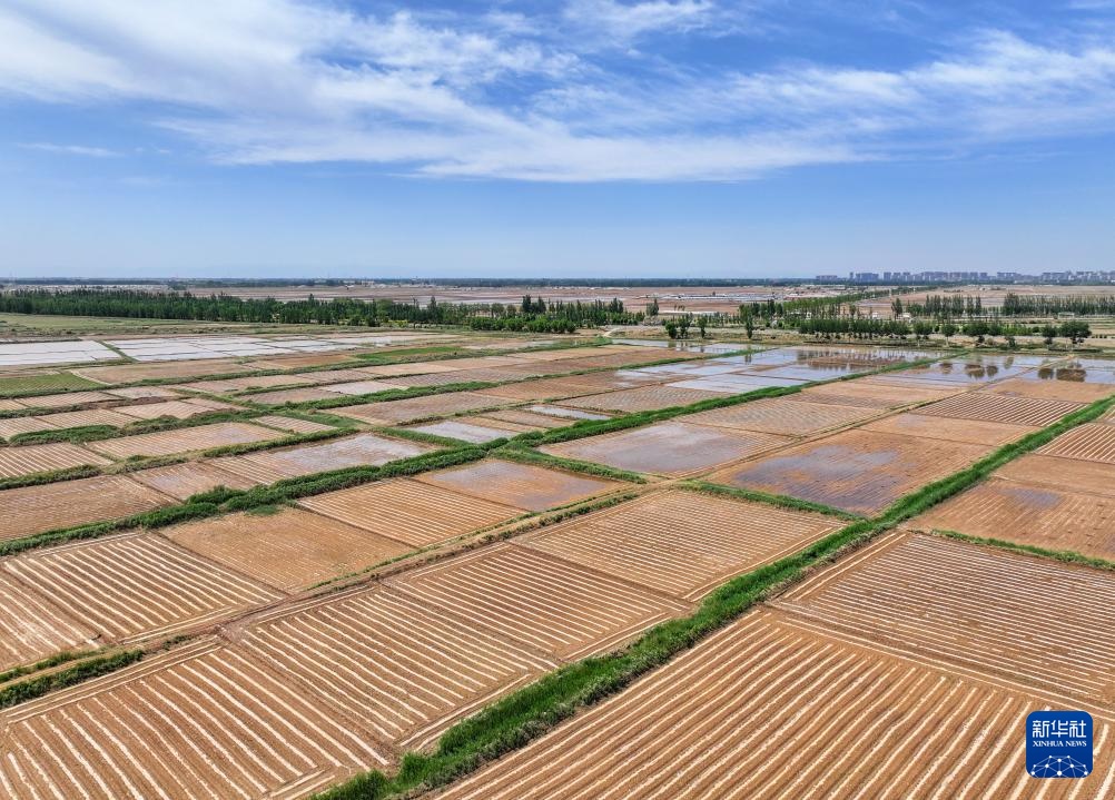 巴彦淖尔:黄河水润万顷田 巴彦淖尔:黄河水润万顷田