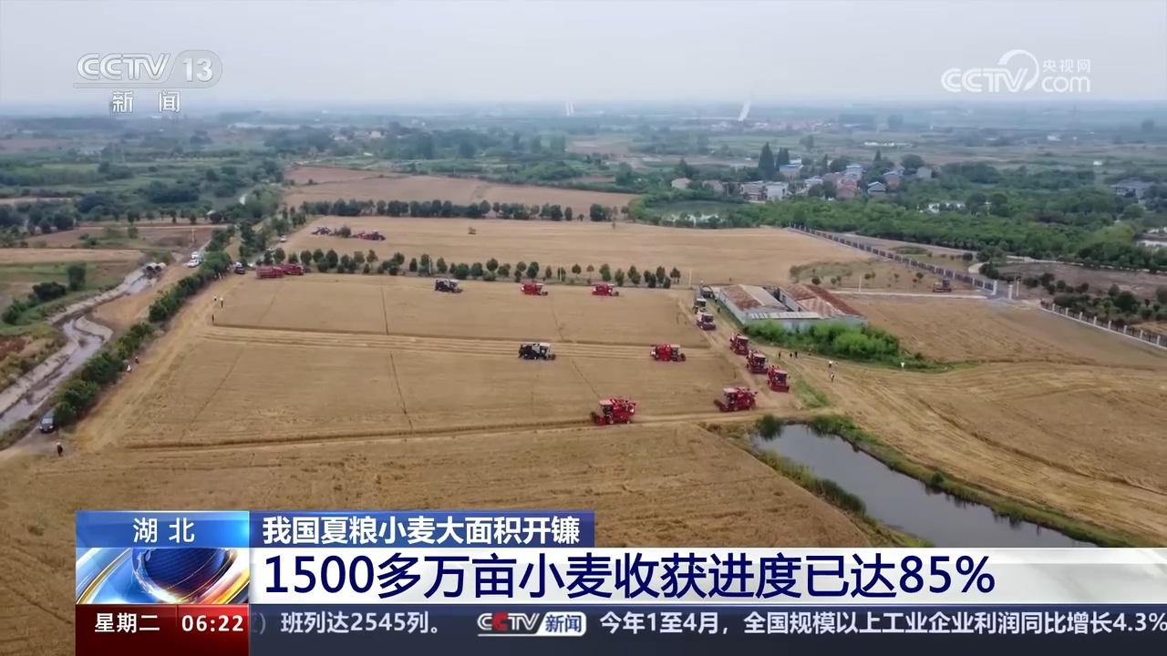 全国麦收进度已近两成 我国夏粮小麦大面积开镰