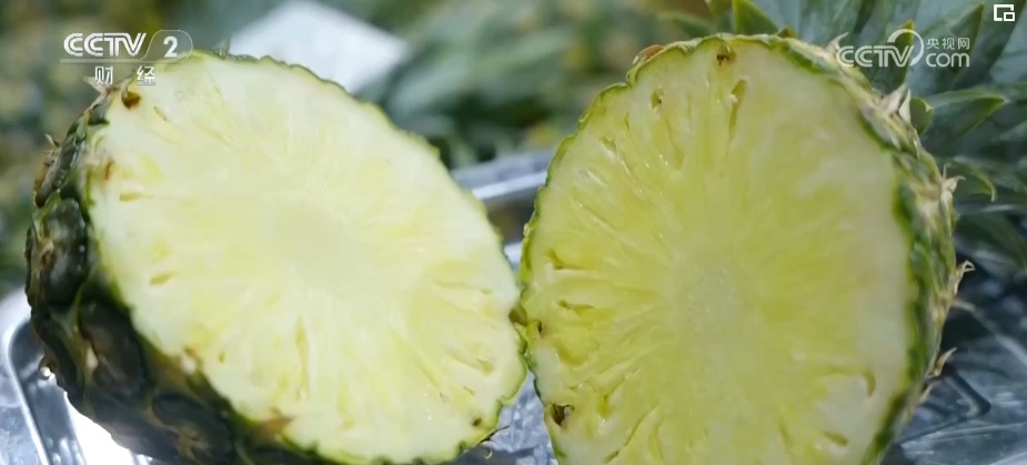 进口量持续增加 更多好物借贸易合作“东风”进入中国市场 进口量持续增加 更多好物借贸易合作“东风”进入中国市场