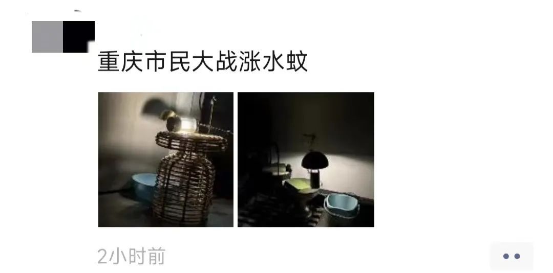 比暴雨还可怕!这东西正“空袭”重庆,很多人都崩溃了…… 比暴雨还可怕!这东西正“空袭”重庆,很多人都崩溃了……