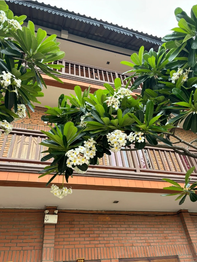 上海00后勇闯东南亚20天,预算5000元! 上海00后勇闯东南亚20天,预算5000元!