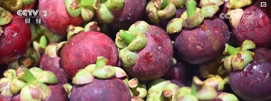 进口量持续增加 更多好物借贸易合作“东风”进入中国市场 进口量持续增加 更多好物借贸易合作“东风”进入中国市场