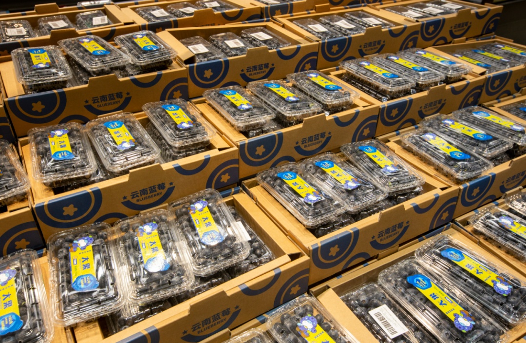 吃蓝莓吃出事了!一女子肠道里全是亮晶晶的“石头” 吃蓝莓吃出事了!一女子肠道里全是亮晶晶的“石头”