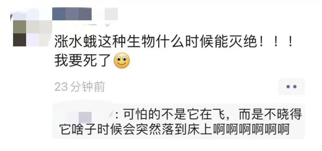 比暴雨还可怕!这东西正“空袭”重庆,很多人都崩溃了…… 比暴雨还可怕!这东西正“空袭”重庆,很多人都崩溃了……