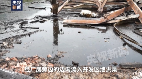 一线调查！恶臭熏天、大量鱼虾死亡，这条长江支流怎么了？