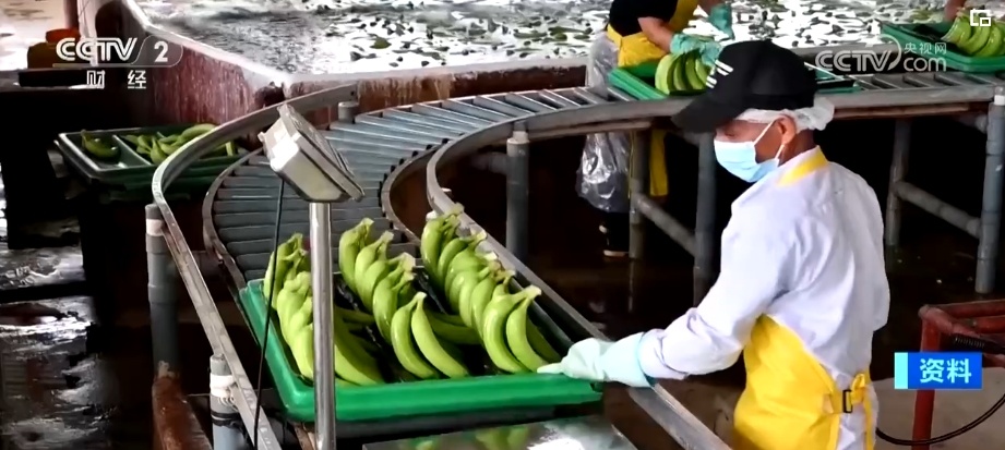 进口量持续增加 更多好物借贸易合作“东风”进入中国市场 进口量持续增加 更多好物借贸易合作“东风”进入中国市场