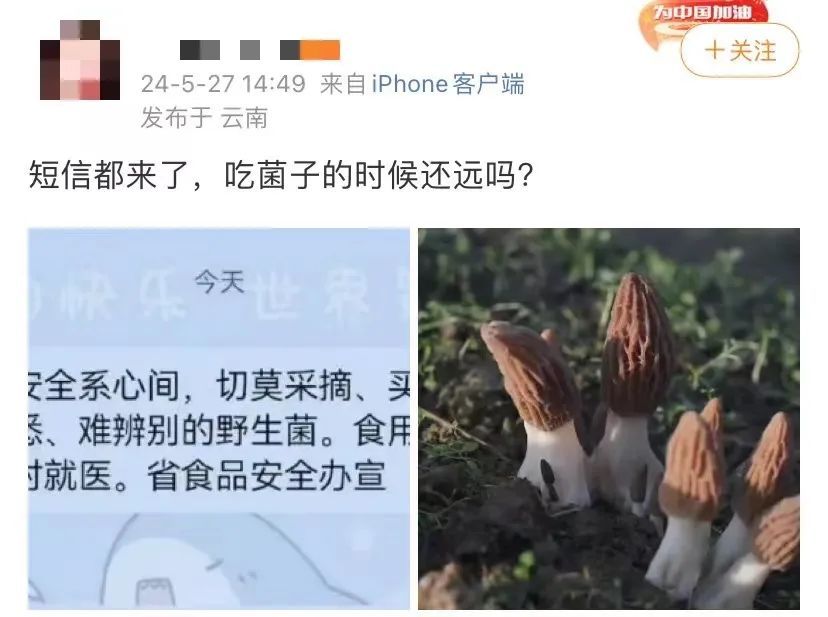 收到这条短信,云南人坐不住了! 收到这条短信,云南人坐不住了!