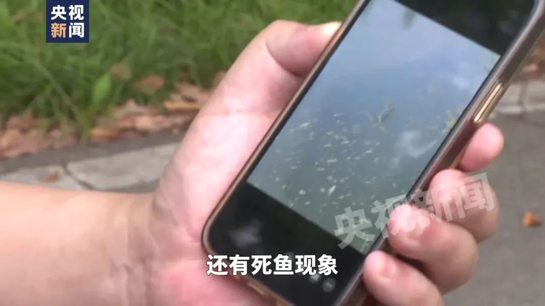 一线调查！恶臭熏天、大量鱼虾死亡，这条长江支流怎么了？