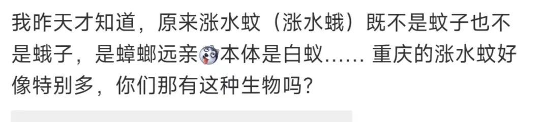 比暴雨还可怕!这东西正“空袭”重庆,很多人都崩溃了…… 比暴雨还可怕!这东西正“空袭”重庆,很多人都崩溃了……