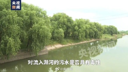 滁河南京段死鱼死虾仍在打捞 危化品起火污染物外泄致滁河水质异常