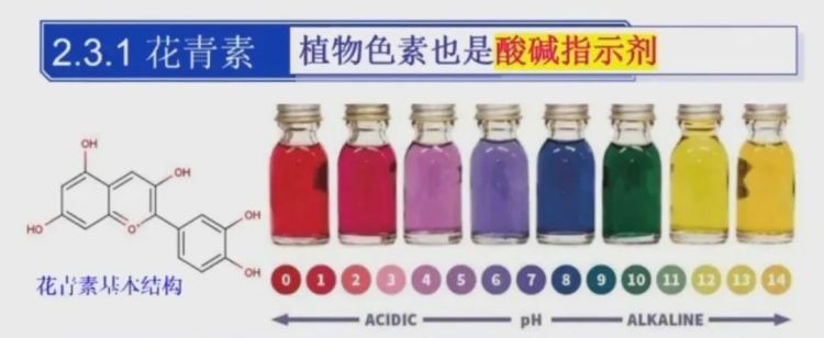 煮过胡萝卜的水变绿了,是有毒物质析出吗?别担心,真相来了 煮过胡萝卜的水变绿了,是有毒物质析出吗?别担心,真相来了